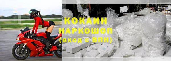 гидра Инта
