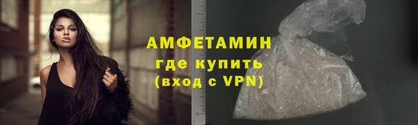 гидра Инта