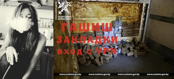 гидра Инта