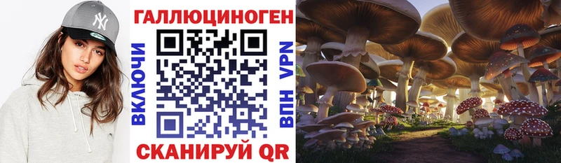 Псилоцибиновые грибы GOLDEN TEACHER  Купить закладки  Духовщина 
